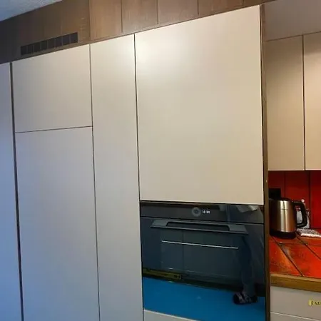 Exclusive 160mq Castle In Appartement Davos